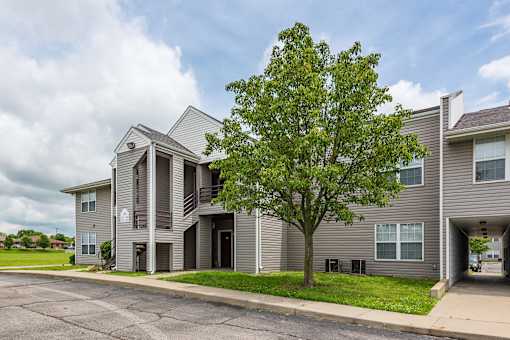 A tree in front of a grey apartment building.