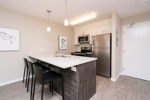 Interior - wide shot of kitchen.