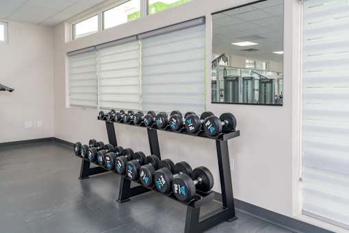 Free Weights at G17 Apartments at Tamarack, Edmonton, AB