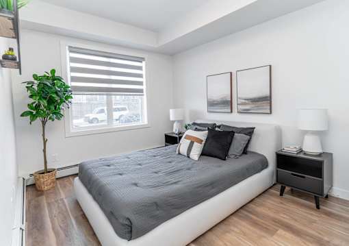 A bedroom with a bed, nightstand, and a plant.at Vibe Apartments at Arbour Lake, Calgary Alberta  