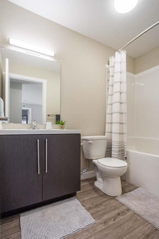 Interior - bathroom
