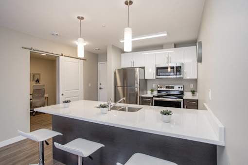 Interior - wide shot of kitchen.