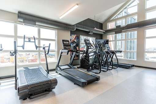 A gym with treadmills, elliptical machines, and exercise bikes.