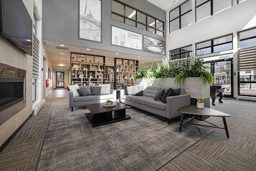 A living room with a grey couch and a coffee table.