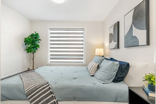 a bedroom with a bed and a window and a plant