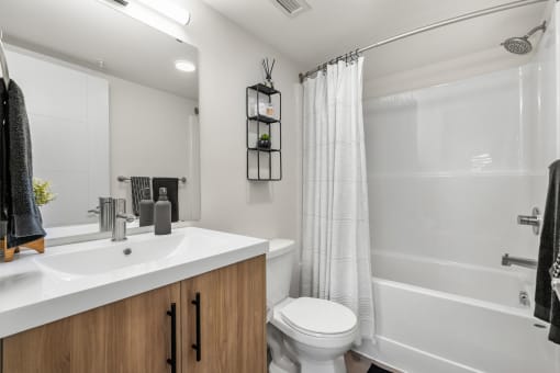 a bathroom with a sink and a toilet and a shower