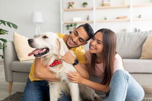 A man and woman are sitting on the floor with a dog.
