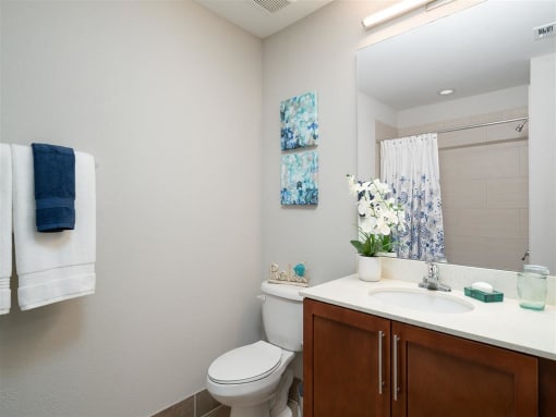 Harmony second Bathroom at Portofino Cove, Fort Myers, 33916