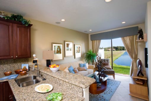 Kitchen and Living Area