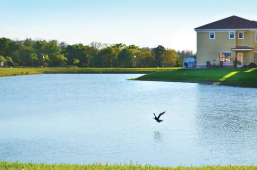 Lake View