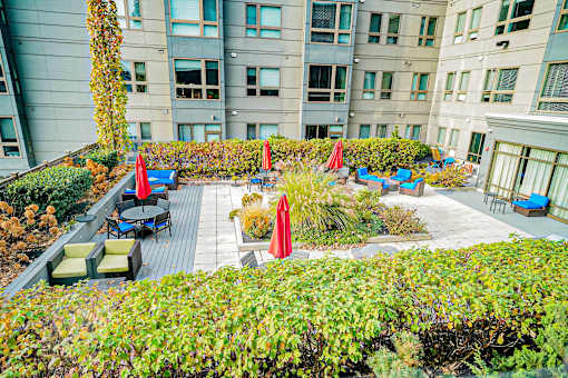 A patio with a table and chairs is surrounded by green shrubbery.