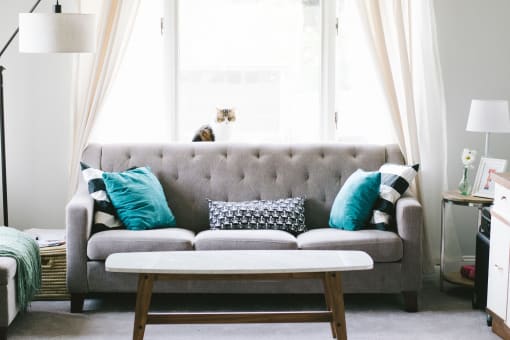 gray couch and blue pillows
