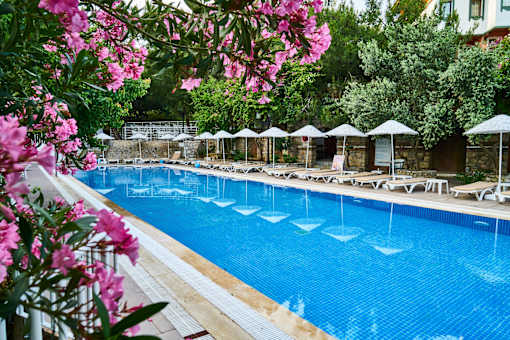 A pool surrounded by trees and umbrellas.
