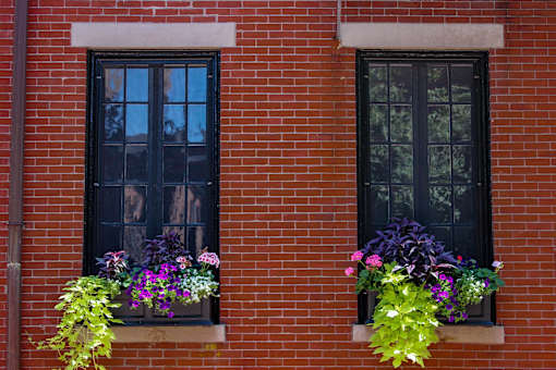 two windows with flower pots on a red brick building