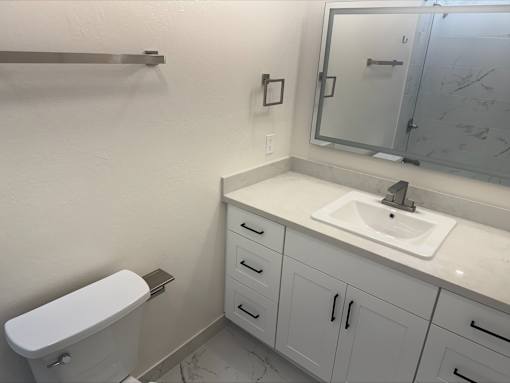 A white toilet sits next to a sink in a bathroom.