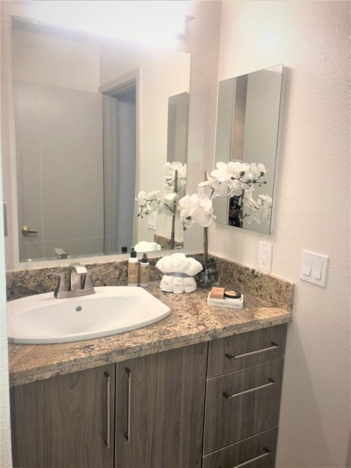 a bathroom with a sink and a mirror