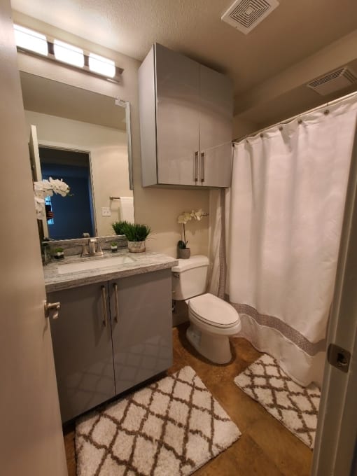 a bathroom with a toilet and a sink and a shower