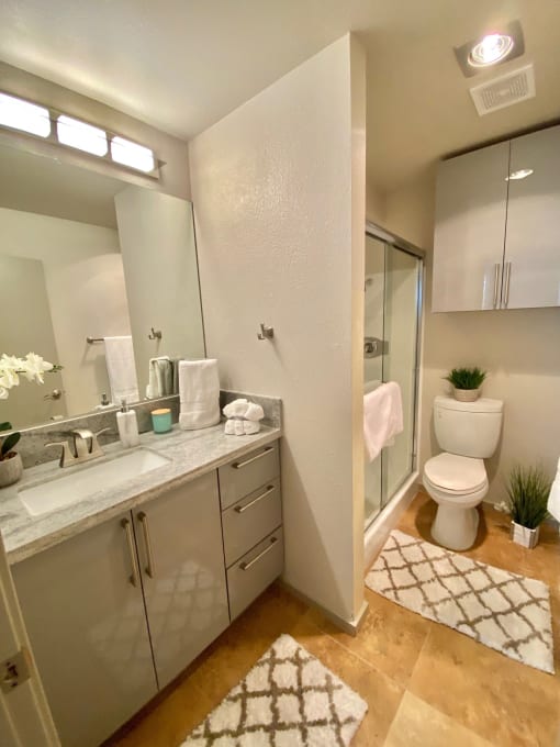 a bathroom with a sink toilet and a shower