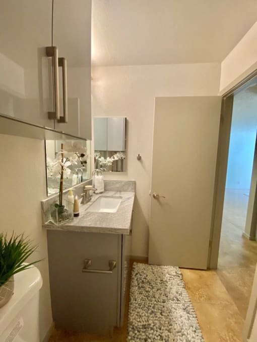 a small bathroom with a sink and a shower