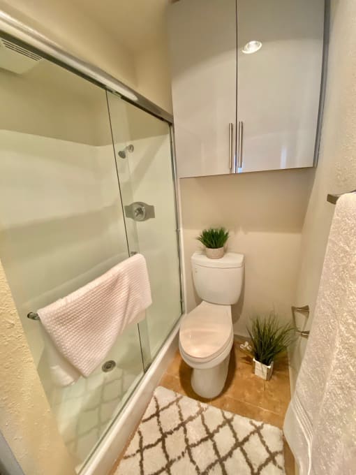 a small bathroom with a toilet and a shower