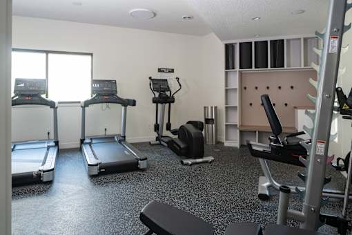 A gym with treadmills, elliptical machines, and weights.
