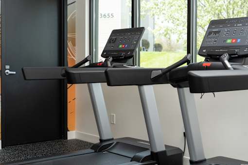 Two treadmills are in a room with a window showing greenery outside.