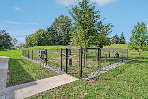 A black fence runs along a grassy area.
