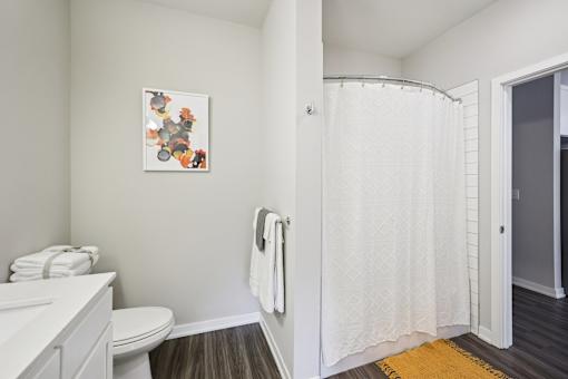 A bathroom with a toilet, a shower curtain, and a picture on the wall.