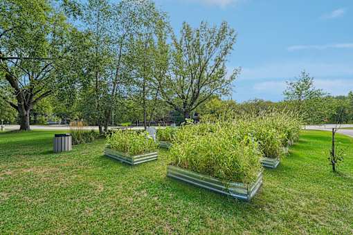 A park with green grass and trees.