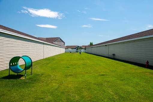 Dog Park Lawn