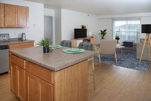 Kitchen Island and Living Room