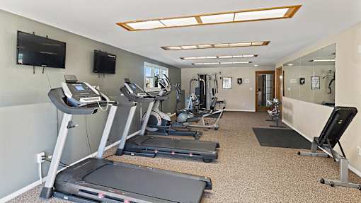 the gym has plenty of exercise equipment and a tv