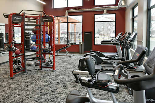 A gym with a variety of equipment including treadmills, weight racks, and exercise balls.