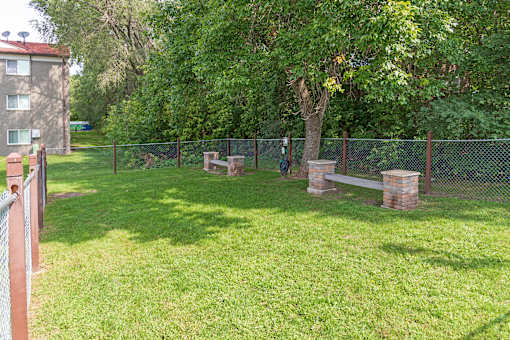 A green grassy area with a fence and a tree.