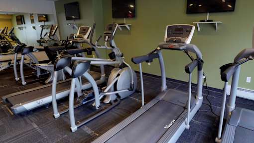 a row of treadmills and ellipticals in a gym