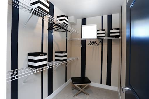 Spacious Walk in Closet