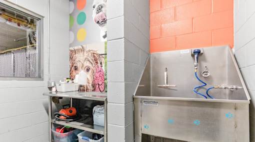 A dog is on a poster in a bathroom with a sink and a window.