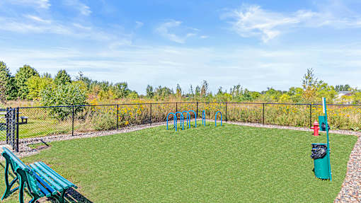 the backyard has a playground and a picnic table