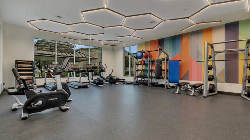 a gym with weights and exercise equipment and a colorful wall
