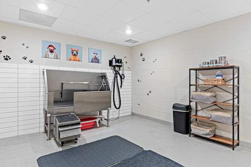 A room with a dog washing station and a shelf with dog beds.