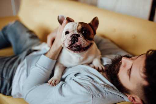 Pet Friendly apartments for your furry friends