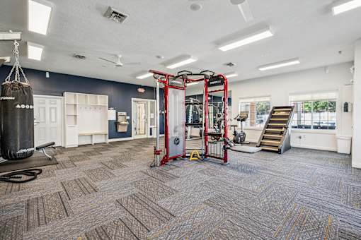 A gym with a punching bag, weights, and a pull up bar.