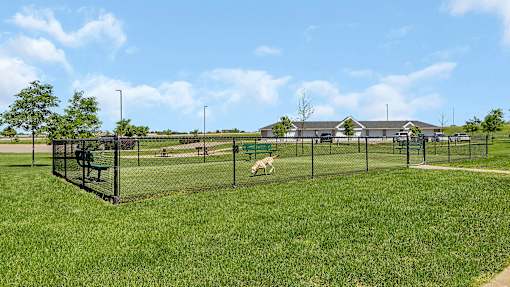 a dog running through a fenced in area in a park