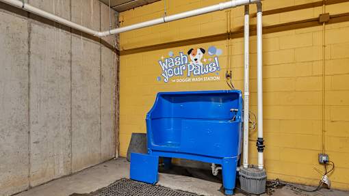 a blue trash can in front of a yellow wall