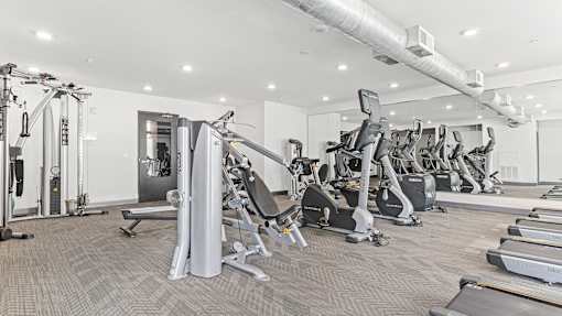 a gym filled with cardio machines and treadmills
