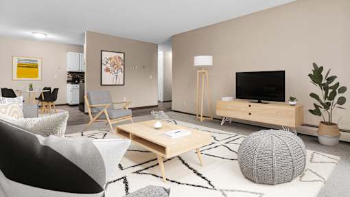 A modern living room with a grey and white patterned ball on the carpet.