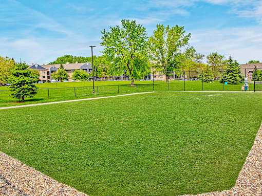Green Grass in Dog Park