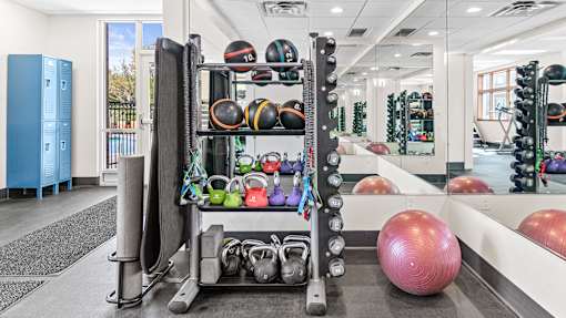a gym with weights and a yoga ball on the floor
