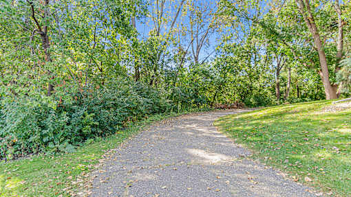 a dirt path in a park with trees