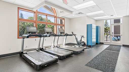 four treadmills in a gym with windows and exercise equipment